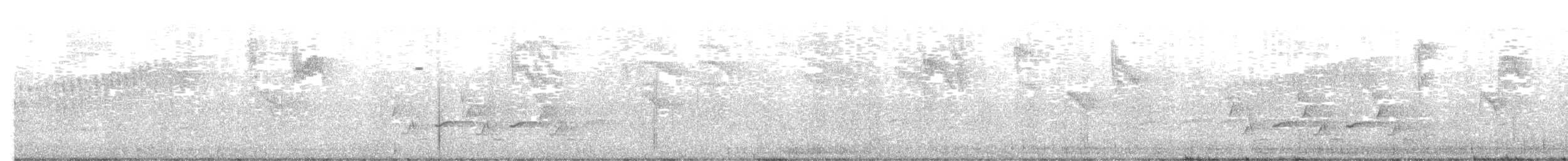 Yellow-bellied Flycatcher - ML636284765