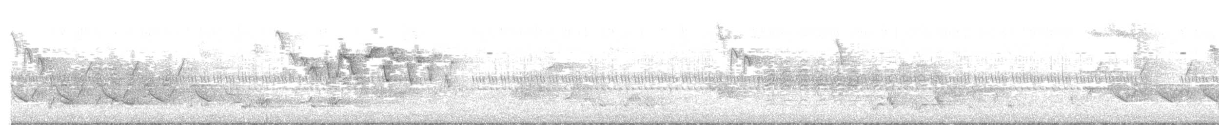 Nashville Warbler - ML636284778