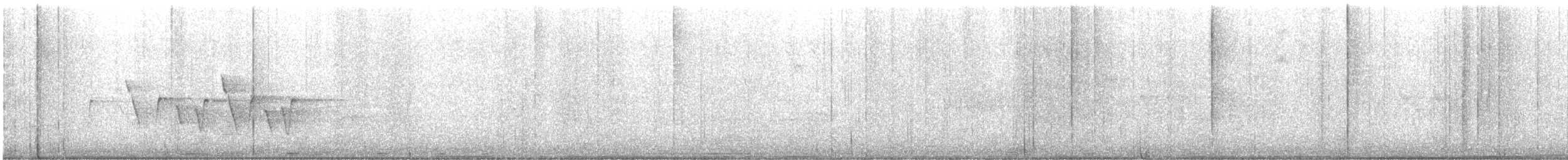 Connecticut Warbler - ML636287448