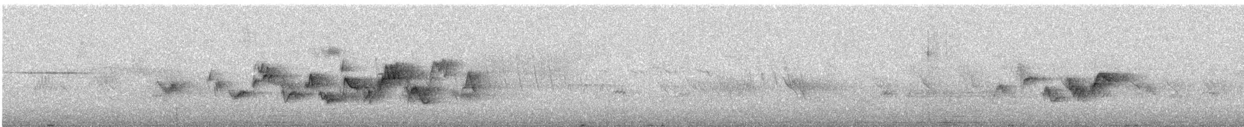 Warbling Vireo - ML636288861