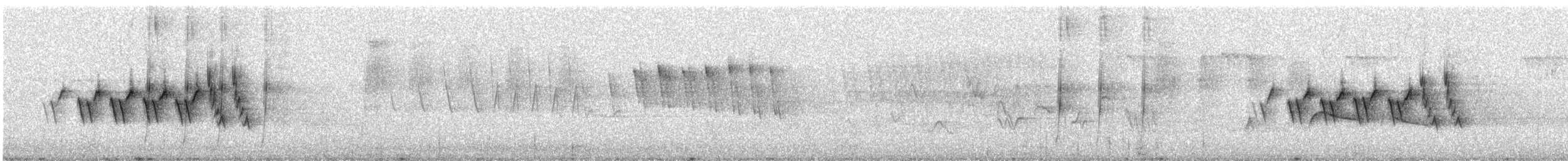 MacGillivray's Warbler - ML636289078