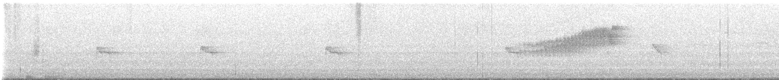 Yellow-bellied Flycatcher - ML636289728