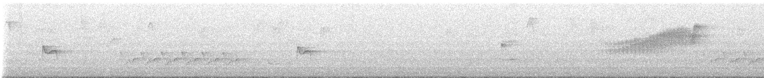 Yellow-bellied Flycatcher - ML636289784