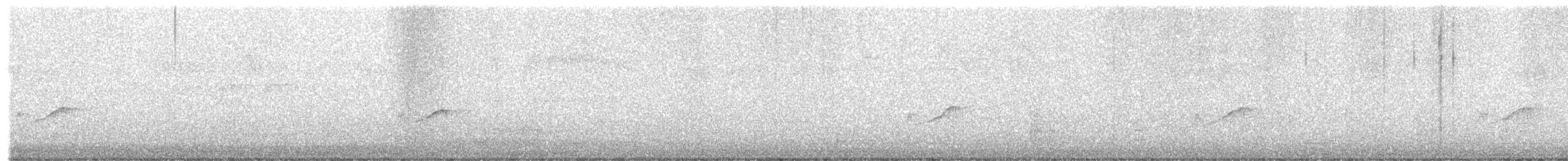 Yellow-bellied Flycatcher - ML636291771