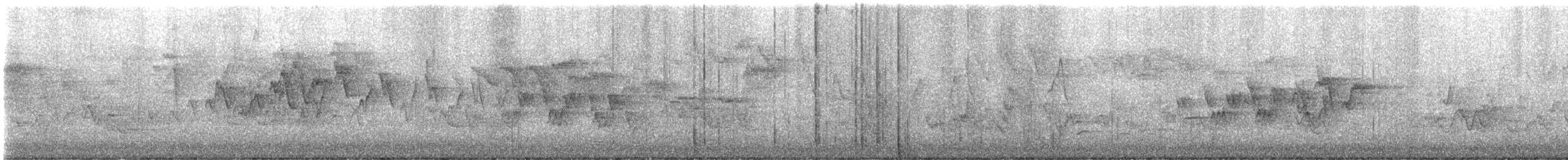 Mourning Warbler - ML636291991