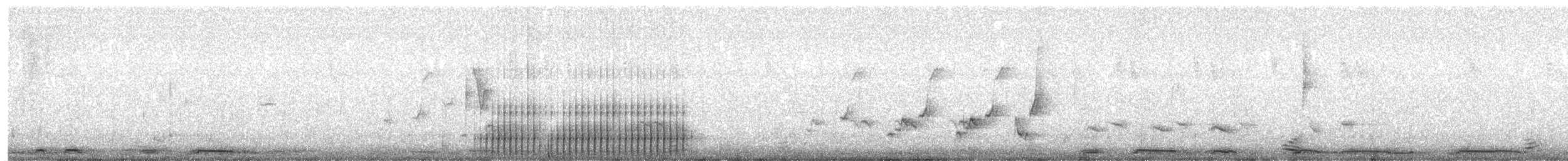 strakapoud proužkohřbetý - ML636292227