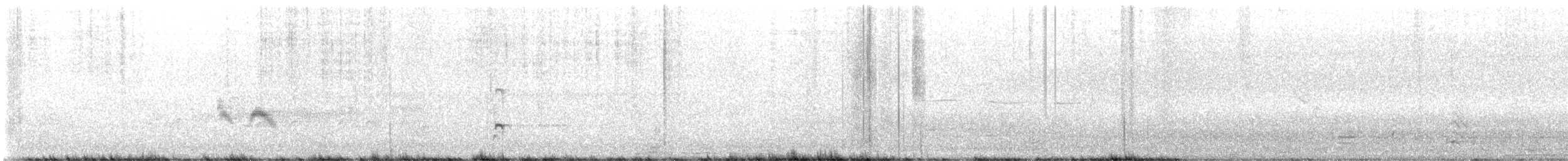 American Avocet - ML636294346