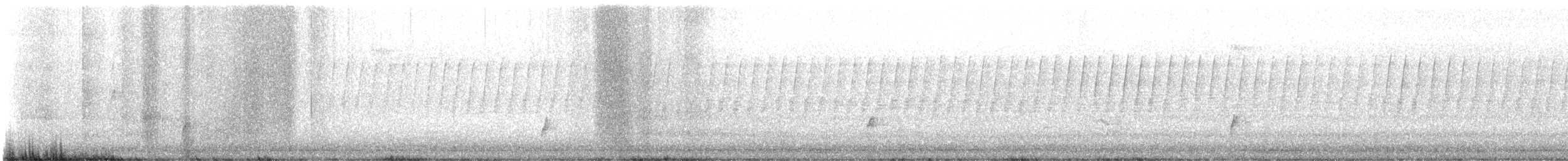 Swainson's Thrush - ML636298829