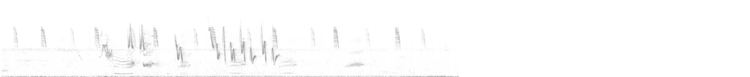 Western Swamphen - ML636299178