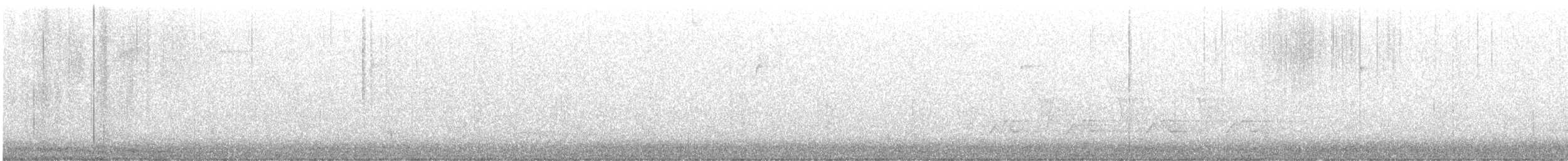 Swainson's Warbler - ML636302771