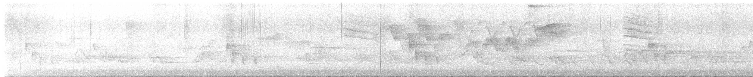 Northern Parula - ML636305455
