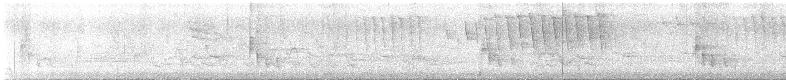 Tennessee Warbler - ML636305522