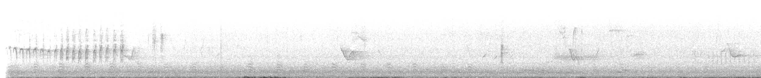 Ring-necked Duck - ML636307013