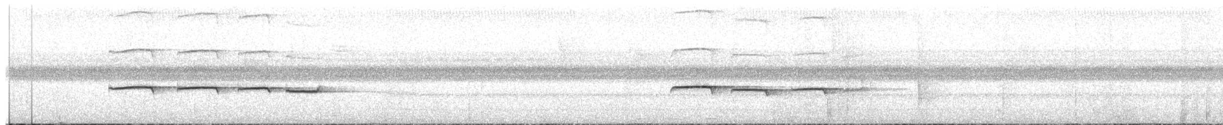 Cordillera Azul Antbird - ML636307496