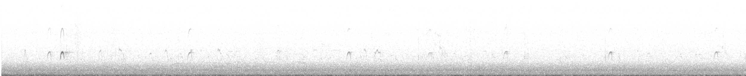 Bécassin à long bec - ML636309860