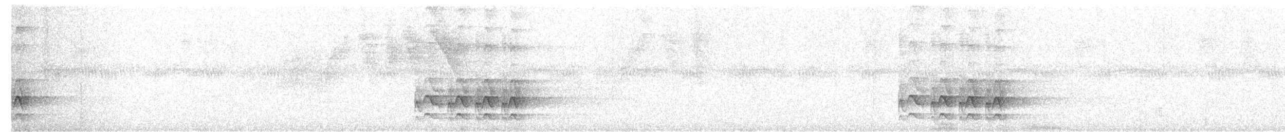 hvitøyeløvgransker - ML636311536