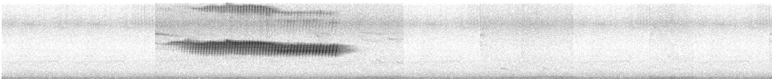 Kiefernwaldsänger - ML636314232