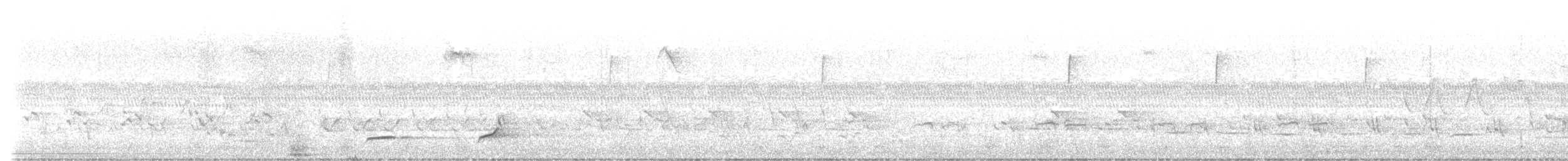 Northern Bobwhite - ML636314275