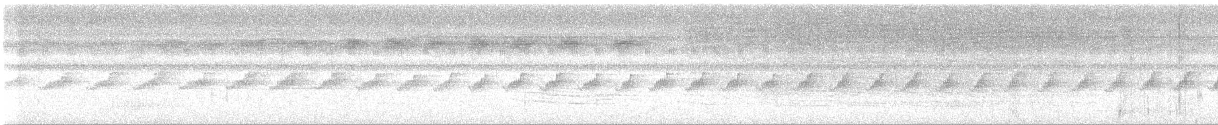 Plain-throated Antwren - ML636318572