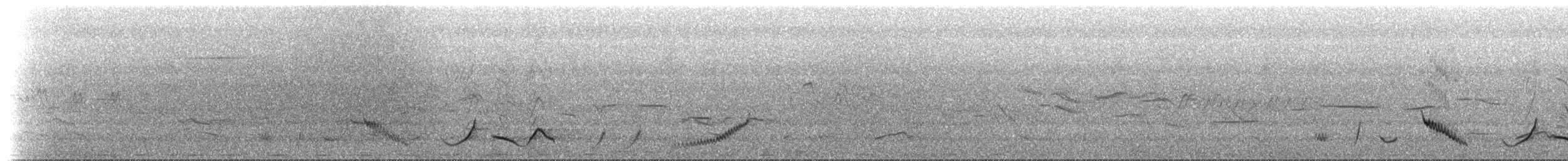 Grammatoptile strié - ML636318746