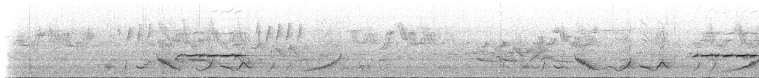Grammatoptile strié - ML636318843