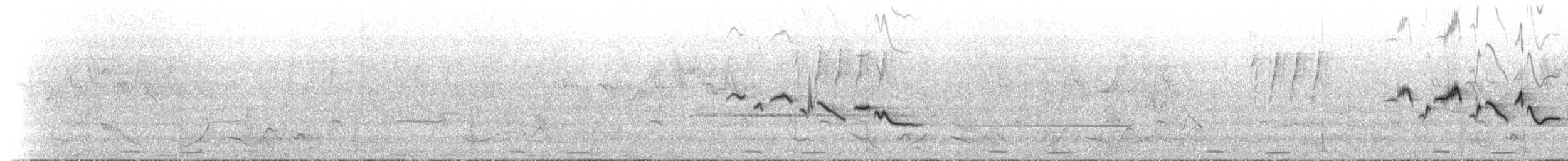 Gray Bushchat - ML636318885