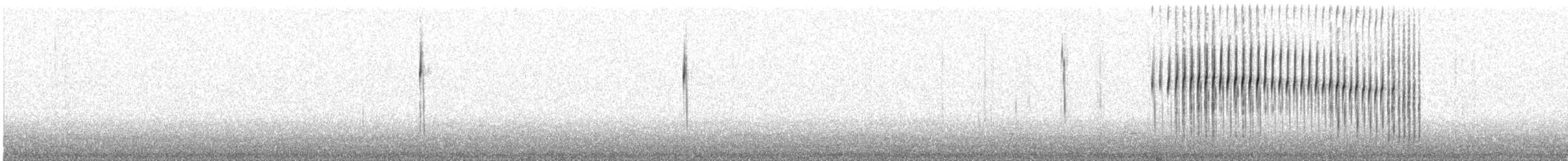 White-browed Tit-Spinetail - ML636320658