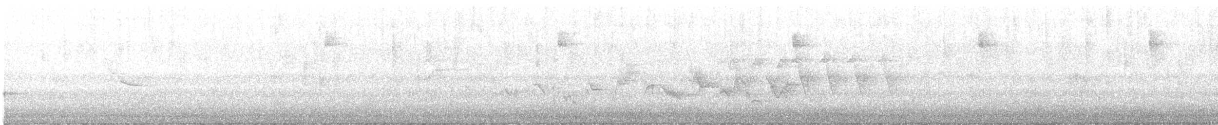 Western Warbling Vireo - ML636324734