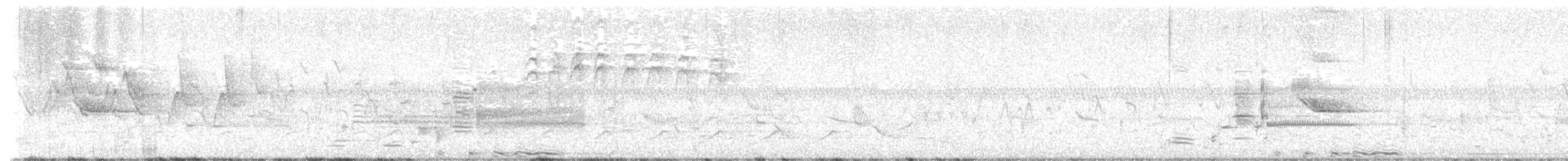 Least Bittern - ML636326098