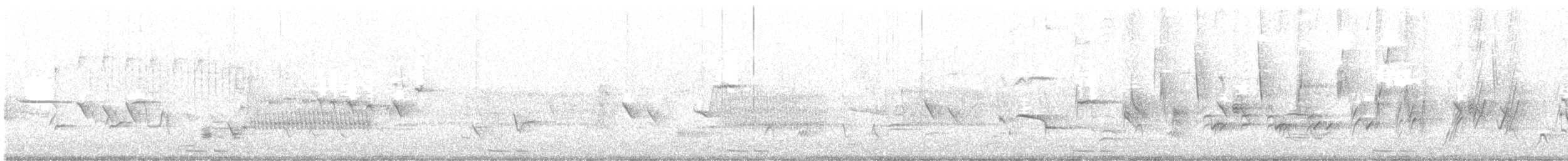 Schwarzschnabelkuckuck - ML636330192