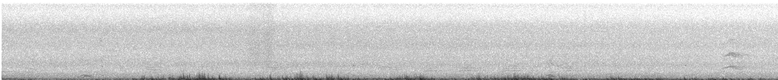 Spitzschopftaube - ML636330219
