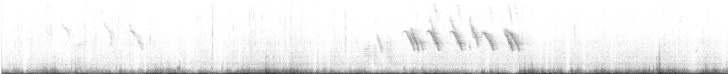 svarthodevever - ML636333354