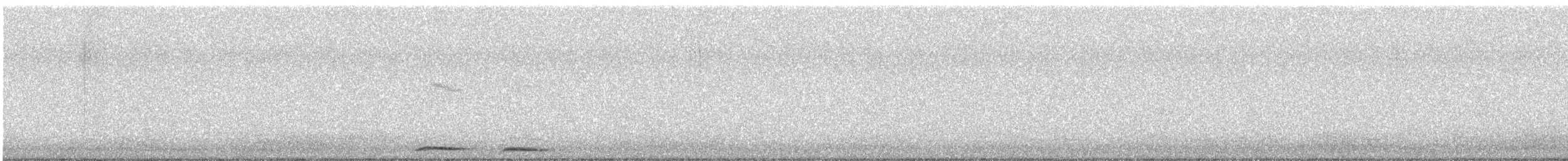 Morepork - ML636333602