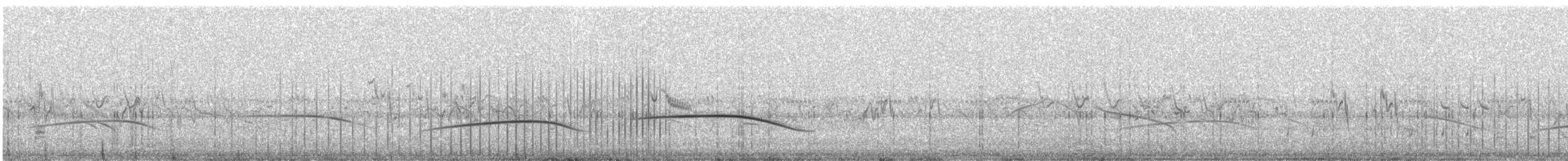 Cape Clapper Lark - ML636335300