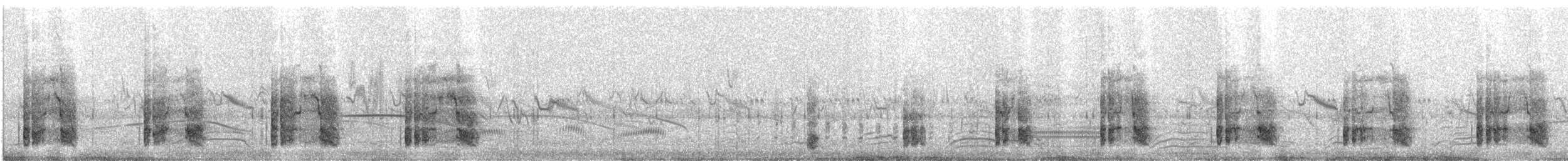 Black Bustard - ML636336054
