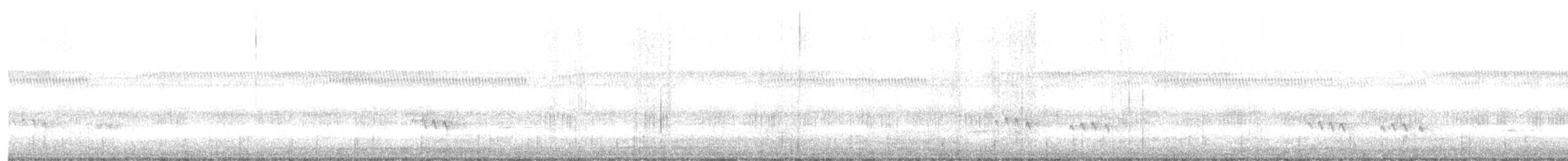 Australasian Grass-Owl - ML636336388