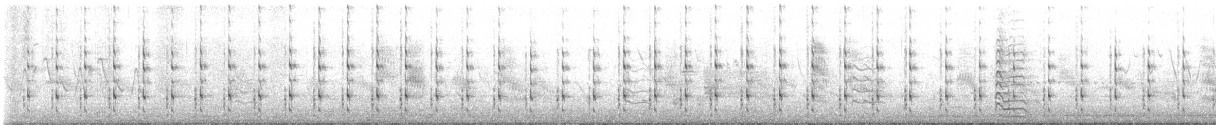 Willet (Eastern) - ML636336999