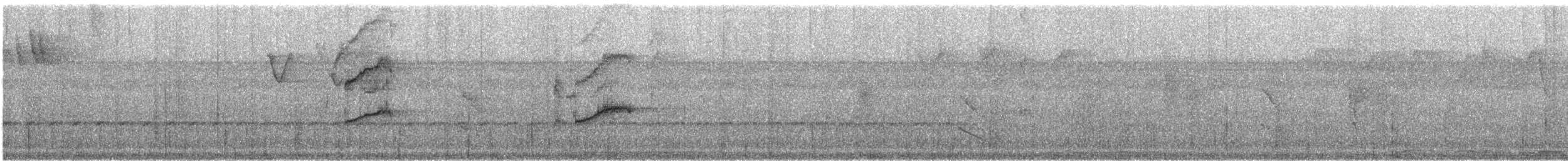 Yellow-margined Flatbill - ML636338349