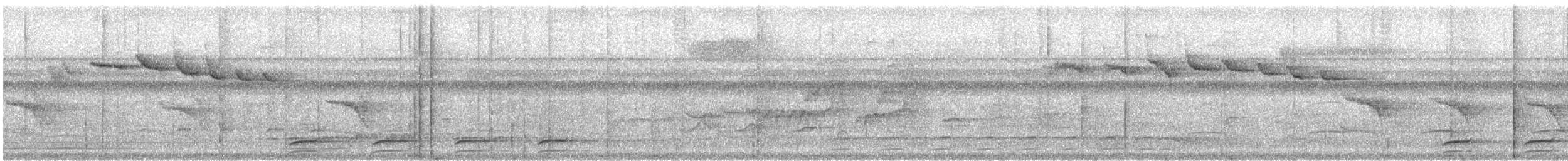 White-shouldered Antshrike - ML636338384