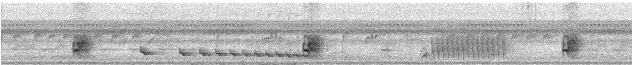 Alapi huppé - ML636339373