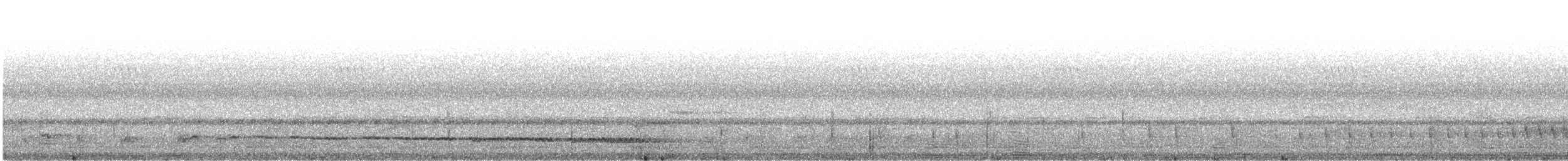 Red-tailed Bristlebill - ML636339711