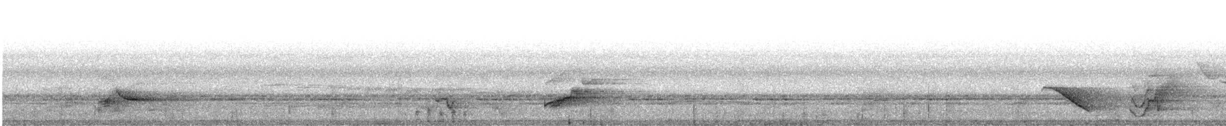 White-necked Rockfowl - ML636339717