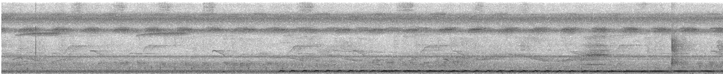 Black-throated Coucal - ML636339853