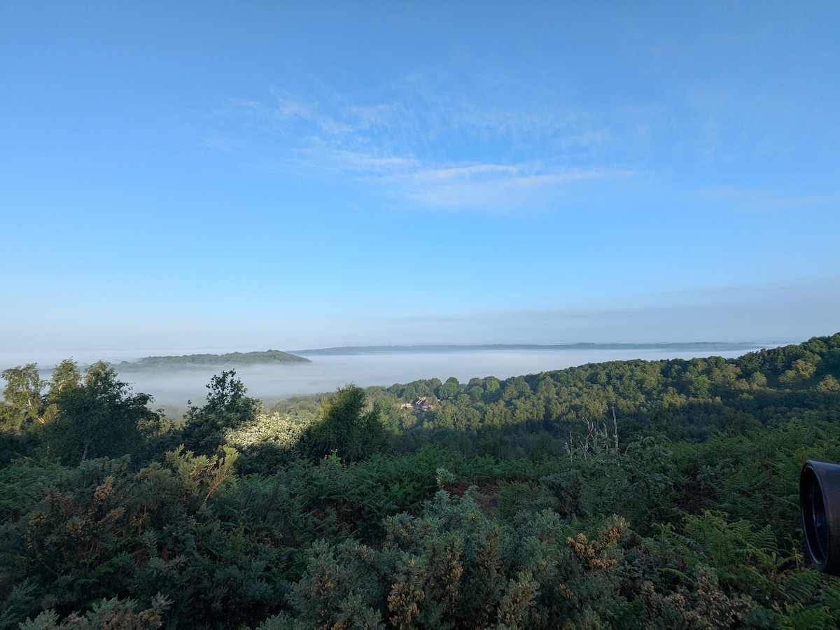 null - ML636340171