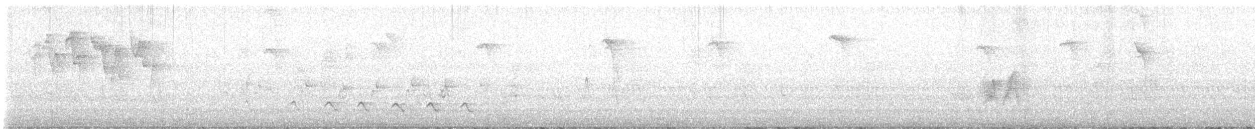 חטפית האלמון - ML636341487