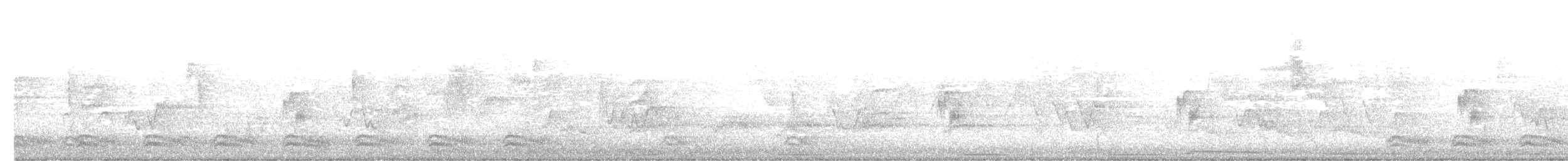 Yellow-bellied Flycatcher - ML636343129