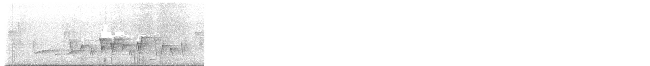 Connecticut Warbler - ML636344446