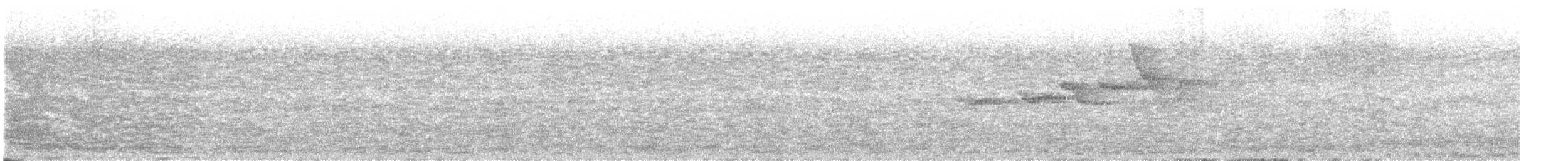 Swainson's Warbler - ML636344656