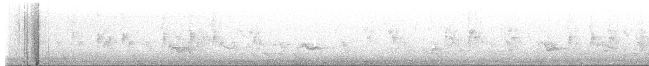 Barred Owl - ML636345612