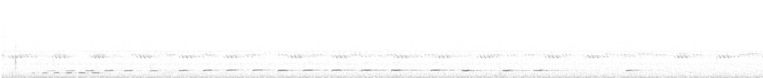 Petite Nyctale - ML636349116